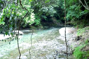 Kiyotsukyo Camp Field