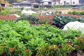 Fureai Farm