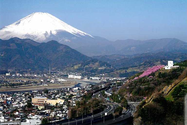 Matsuda Cherry Blossom Festival