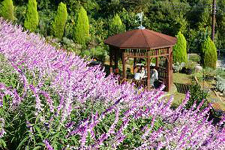 Mt. Matsuda Herb Festival