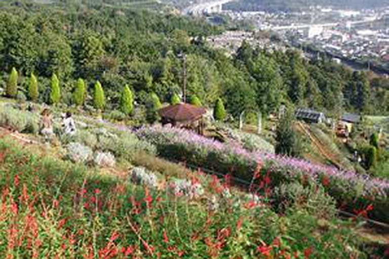 Mt. Matsuda Herb Festival