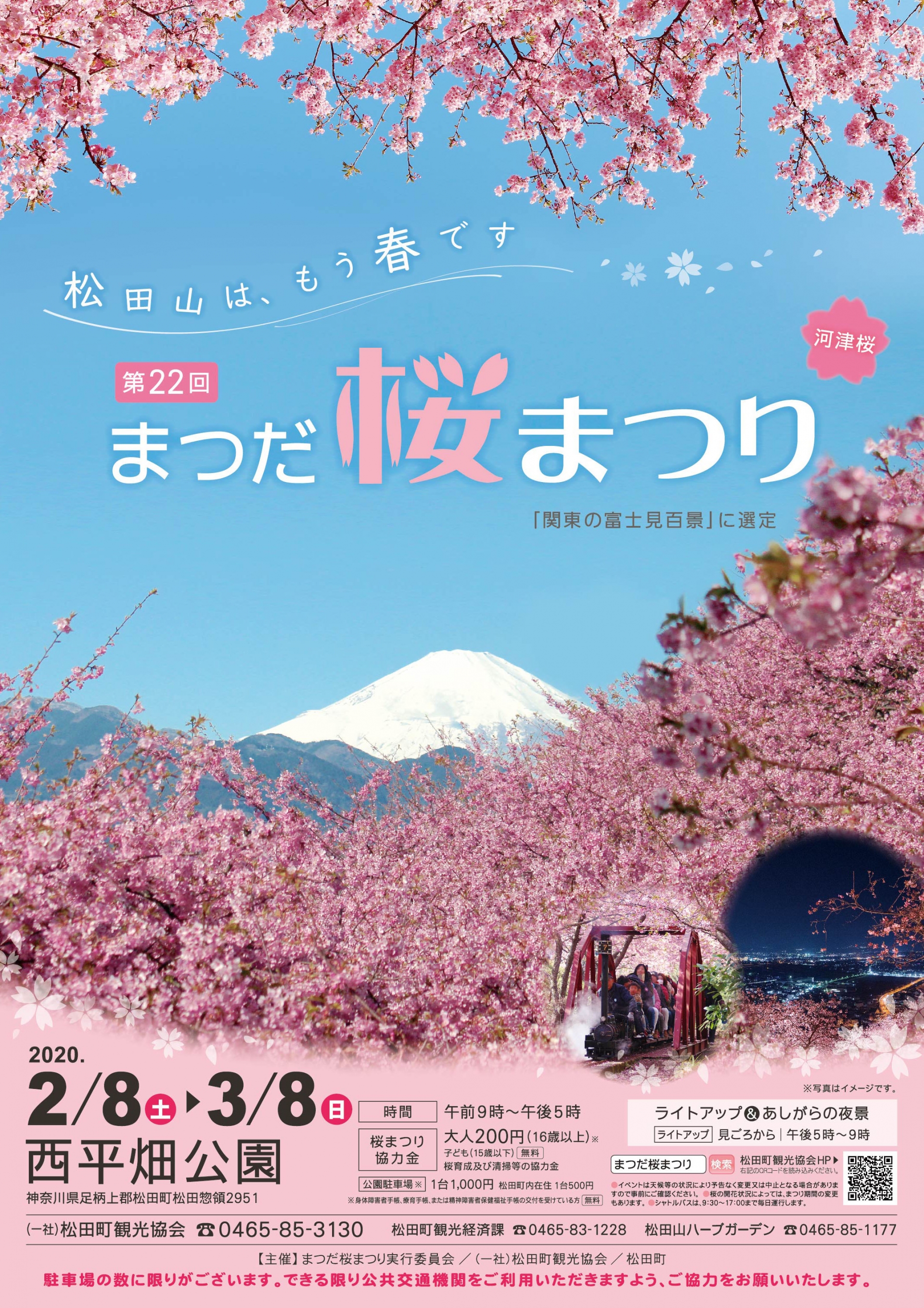 El Festival de los Cerezos en Flor de Matsuda: los sakura de febrero