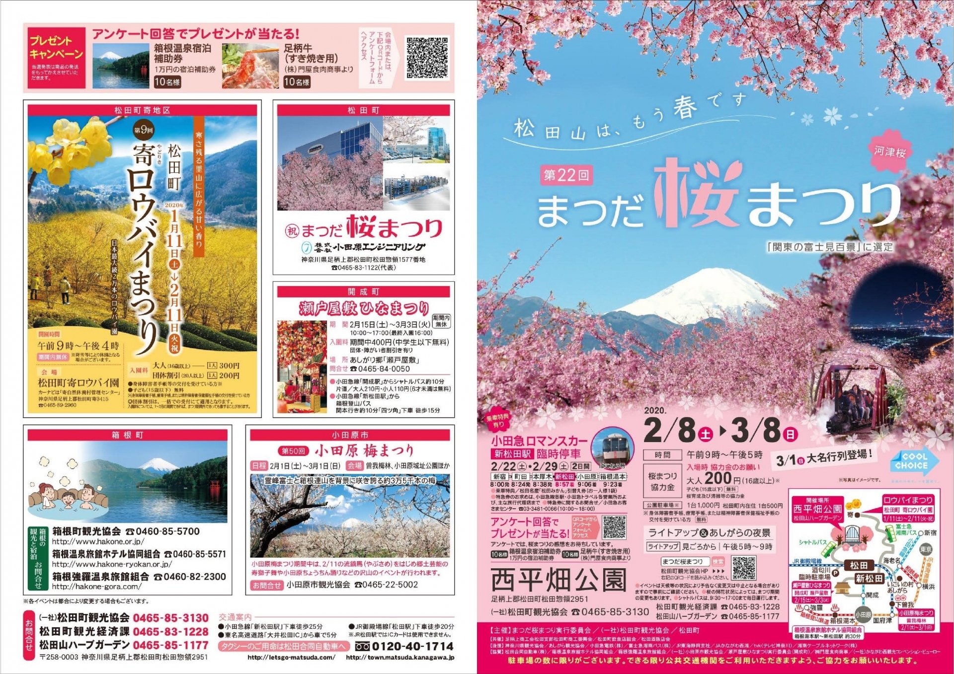 The 22nd Cherry Blossom (Sakura) Festival - General Information